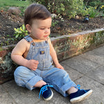 Load image into Gallery viewer, Angelitos Lace up Canvas Shoes - Navy
